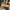 timberland icon yellow boots photo 1