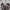 Skechers Streetwear Casual Sneakers Wanita white photo 7