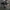 Germany military flectarn camo photo 4
