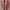 Guess photo 2