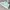 Skechers Sock Sneakers | Size 37 photo 1