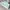 Skechers Sock Sneakers | Size 37