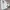 Skechers Sock Sneakers | Size 37 photo 2