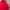 Under Armour Streetwear Casual Hoody Pria red photo 3