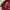 Xuan Tang Drgaon Embroidery Red Cheongsam Long Shirt  photo 4