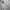 Polo Ralph Lauren Luxury Casual Casual Shirt Pria White