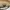 Fendi Casual Messenger bags & Satchel Wanita tan khaki photo 2
