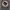 New balance 1906d photo 1