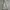 BD Snowboarding Jacket alike Bathing Ape Camo photo 3
