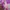 Vintage Issey Miyake Multi Colour Polyester Set photo 3