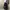 SNOOP DOG photo 1