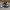 Converse Chuck Taylor All Star Black Slip On Low Top Sneaker photo 1