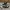 Converse Chuck Taylor All Star Black Slip On Low Top Sneaker