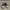 Converse Chuck Taylor All Star Black Slip On Low Top Sneaker photo 5