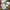 iPhone 11 iBox Pulset Nominus Bisa KREDIT  photo 1