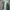 Adidas Vintage Hoody Pria green white blue black red photo 1