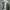 Adidas Vintage Hoody Pria Green White Blue Black Red