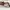 Pretty Ballerinas girls shoes (Authentic) photo 4