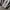 Vans Sentry Old Skool WC photo 6