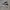 Vans Sentry Old Skool WC photo 3