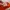 Topi Vintage Ropehat The Home Depot  photo 4