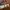 Loro Piana Canvas Bag photo 2