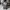 Kaos Adidas Studio London Women AOP Big Logo Size XS photo 3
