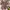atasan lengan balon double katun bunga cantik (-) photo 7