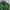 Head Vintage Y2K Bomber Jacket Pria Green