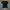 Janet Jackson Tee's photo 5