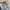 atasan lengan balon besar premi photo 4