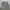 00s addoof gradution knitted wear sweater photo 4