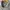 WHO.A.U Streetwear Casual Hoody Pria gray photo 2