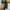 Flatshoes Steve Madden uk 7 photo 2