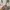Katespade Kate Spade Tote Market Natural Original
