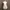 Tangtop Baydoll lucu Warna Putih photo 1