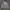 Levi's Silvertab hoodie Rare photo 1