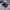 Adidas Stadt Full Black photo 3