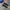 Adidas Stadt Full Black photo 2