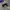 Adidas Stadt Black White photo 3