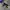 Adidas Stadt Black White photo 1