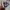 Hydro Flask Mug 6oz photo 6