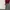 Dickies Raglan Crewneck Sweatshirt Broken White × Red photo 4