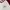 Dickies Raglan Crewneck Sweatshirt Broken White × Red photo 6