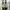 NEW BALANCE 550 AIME LEON DORE