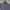 Burberry Casual Formal shirt Pria navy photo 2