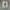 Adidas NMD_R1 Spectoo.  photo 7