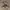 Adidas NMD_R1 Spectoo.  photo 2