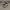 Adidas NMD_R1 Spectoo.  photo 1