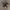 Adidas NMD_R1 Spectoo.  photo 5
